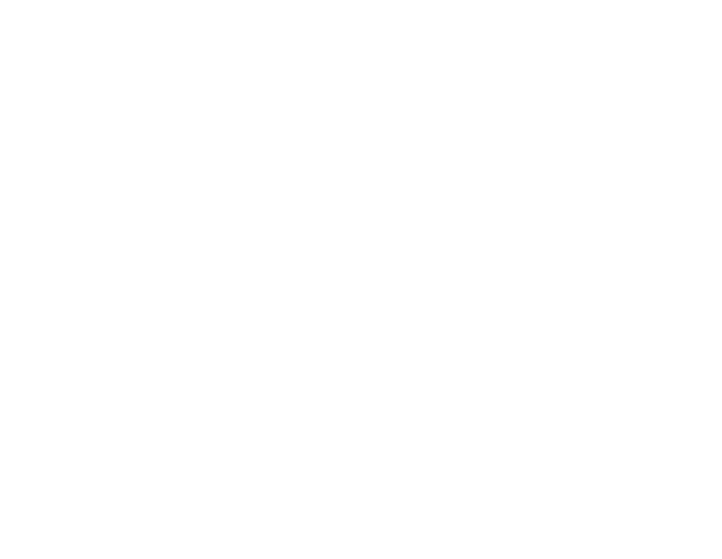 dbboss